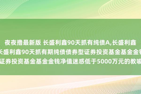 夜夜撸最新版 长盛利鑫90天抓有纯债A，长盛利鑫90天抓有纯债C: 对于长盛利鑫90天抓有期纯债债券型证券投资基金基金金钱净值迷惑低于5000万元的教唆性公告