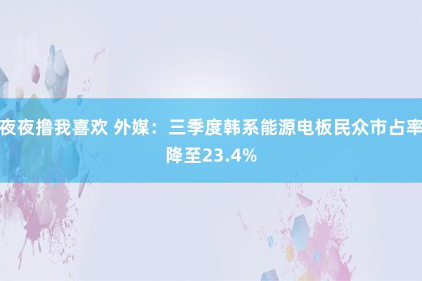 夜夜撸我喜欢 外媒：三季度韩系能源电板民众市占率降至23.4%