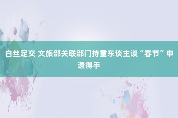 白丝足交 文旅部关联部门持重东谈主谈“春节”申遗得手