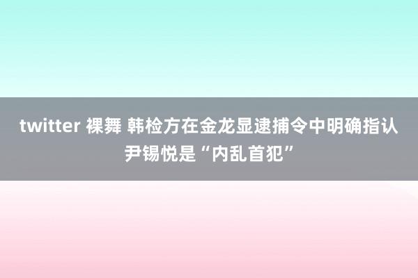 twitter 裸舞 韩检方在金龙显逮捕令中明确指认尹锡悦是“内乱首犯”