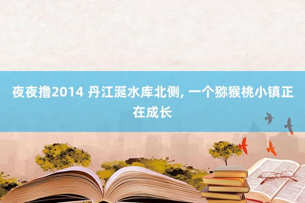 夜夜撸2014 丹江涎水库北侧， 一个猕猴桃小镇正在成长