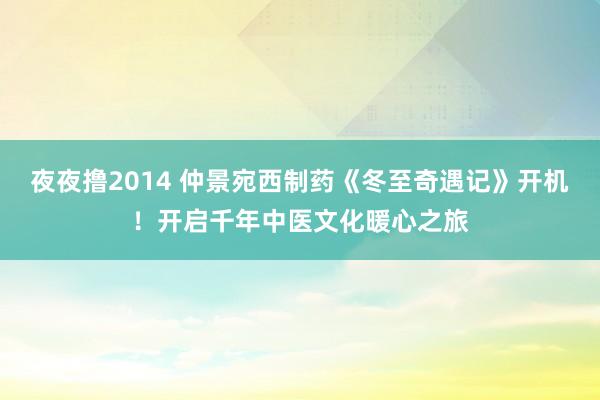 夜夜撸2014 仲景宛西制药《冬至奇遇记》开机！开启千年中医文化暖心之旅