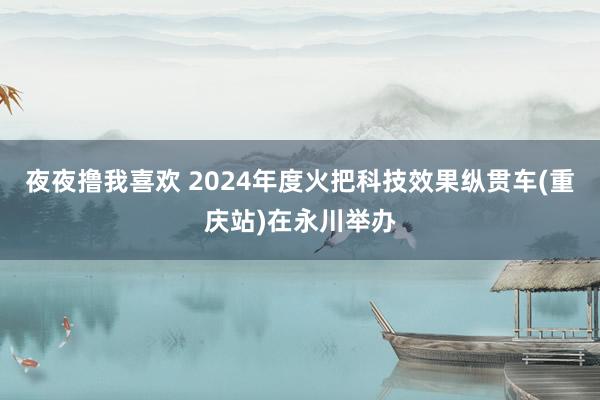 夜夜撸我喜欢 2024年度火把科技效果纵贯车(重庆站)在永川举办