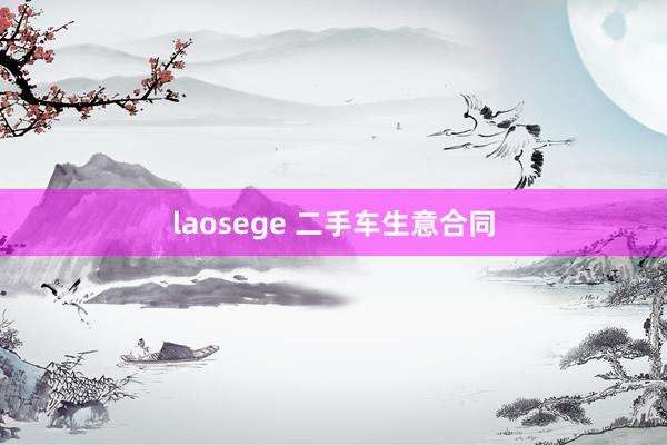 laosege 二手车生意合同