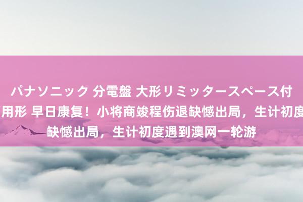 パナソニック 分電盤 大形リミッタースペース付 露出・半埋込両用形 早日康复！小将商竣程伤退缺憾出局，生计初度遇到澳网一轮游